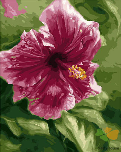 Flower Paint By Numbers Kits UK GX23849