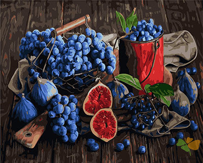 Still Life Paint By Numbers Kits UK GX23864