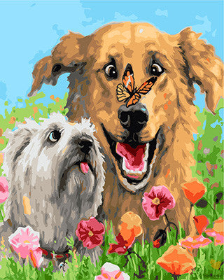 Cat & Dog Paint By Numbers Kits UK GX23895