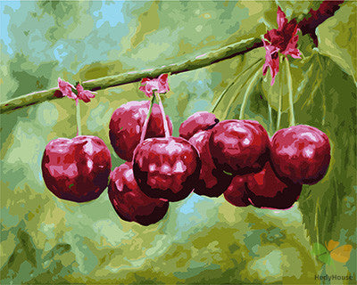 Still Life Paint By Numbers Kits UK GX23991