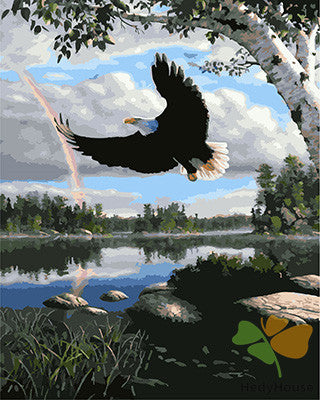 Birds Paint By Numbers Kits UK GX23992