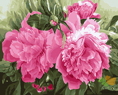 Flower Paint By Numbers Kits UK GX24005