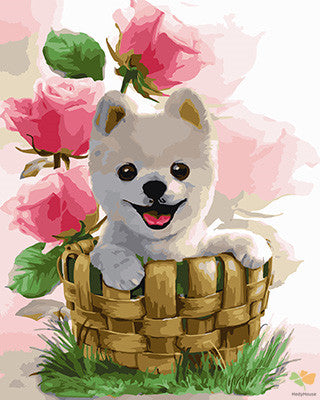 Cat & Dog Paint By Numbers Kits UK GX24008