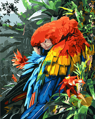 Birds Paint By Numbers Kits UK GX24019