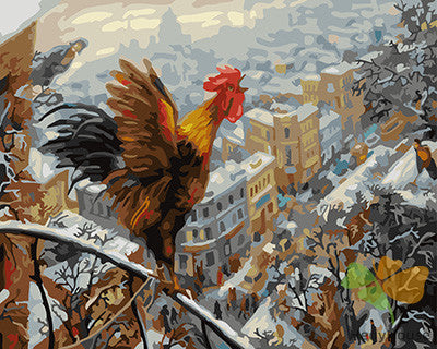 Birds Paint By Numbers Kits UK GX24044