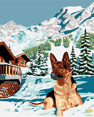 Cat & Dog Paint By Numbers Kits UK GX24065