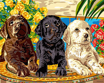 Cat & Dog Paint By Numbers Kits UK GX24073