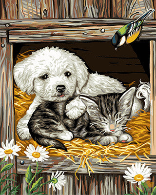 Cat & Dog Paint By Numbers Kits UK GX24108