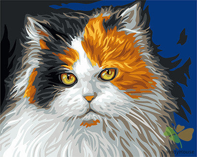 Cat & Dog Paint By Numbers Kits UK GX24164