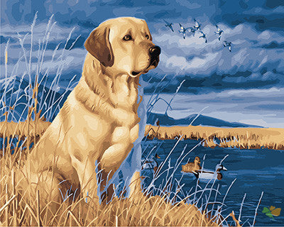 Cat & Dog Paint By Numbers Kits UK GX24186