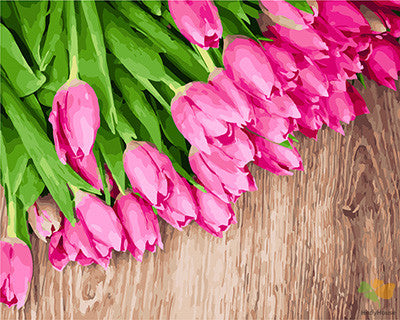 Flower Paint By Numbers Kits UK GX24191