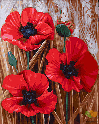Flower Paint By Numbers Kits UK GX24204
