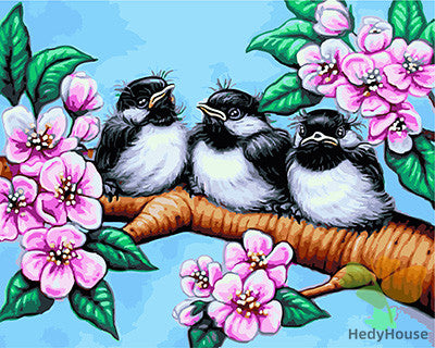 Birds Paint By Numbers Kits UK GX24205