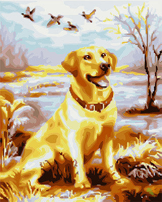 Cat & Dog Paint By Numbers Kits UK GX24206