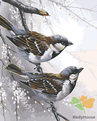 Birds Paint By Numbers Kits UK GX24215