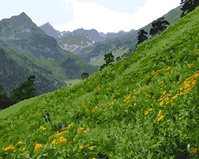 Landscape Paint By Numbers Kits UK GX24221