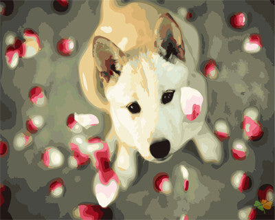 Cat & Dog Paint By Numbers Kits UK GX24254