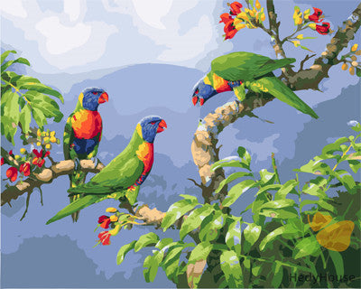 Birds Paint By Numbers Kits UK GX24287