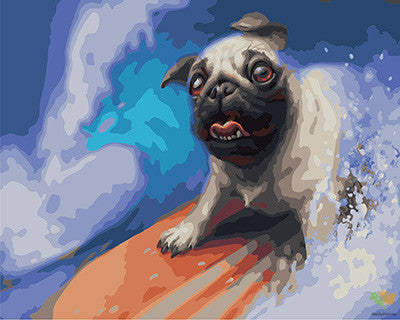 Cat & Dog Paint By Numbers Kits UK GX24298