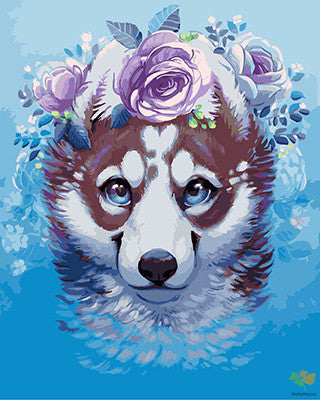 Cat & Dog Paint By Numbers Kits UK GX24315