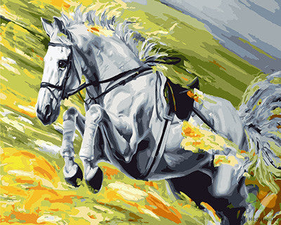 Animal Paint By Numbers Kits UK GX24335