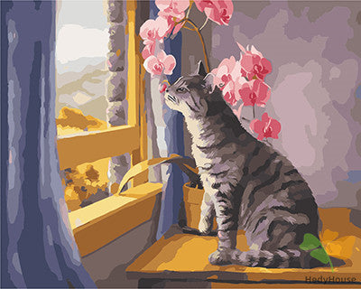 Cat & Dog Paint By Numbers Kits UK GX24544