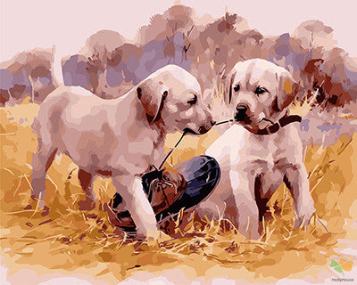 Cat & Dog Paint By Numbers Kits UK GX24557