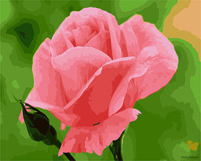 Flower Paint By Numbers Kits UK GX24561