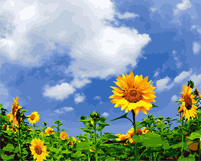 Flower Paint By Numbers Kits UK GX24582