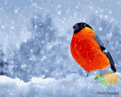 Birds Paint By Numbers Kits UK GX24585