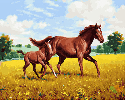 Animal Paint By Numbers Kits UK GX24638