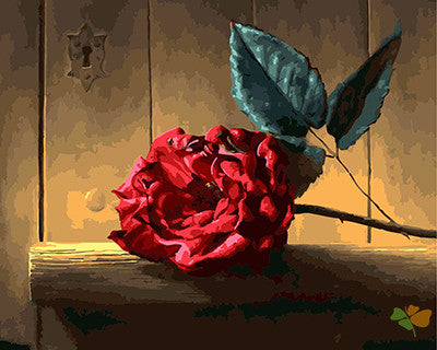 Flower Paint By Numbers Kits UK GX24645