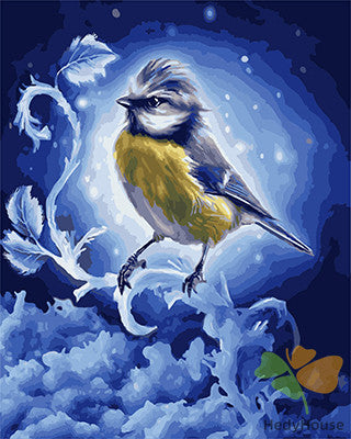 Birds Paint By Numbers Kits UK GX24666