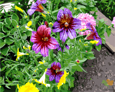 Flower Paint By Numbers Kits UK GX24693