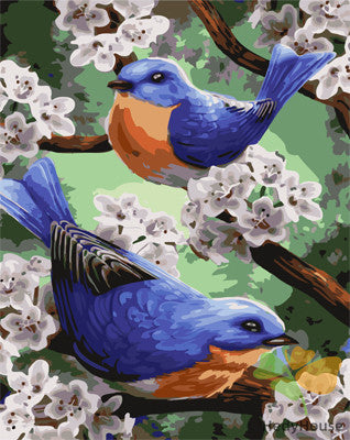 Birds Paint By Numbers Kits UK GX24696