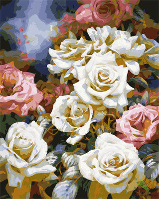 Flower Paint By Numbers Kits UK GX24700