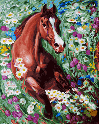 Animal Paint By Numbers Kits UK GX24711