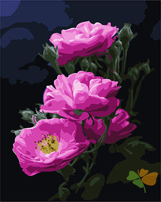 Flower Paint By Numbers Kits UK GX24788