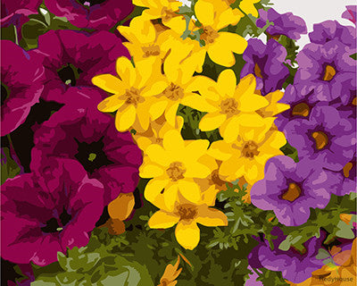 Flower Paint By Numbers Kits UK GX24789