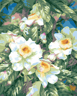Flower Paint By Numbers Kits UK GX24804