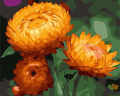 Flower Paint By Numbers Kits UK GX24807