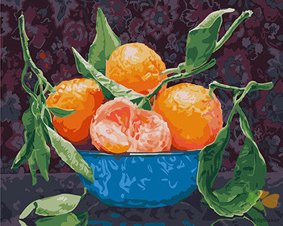 Still Life Paint By Numbers Kits UK GX24808