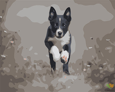 Cat & Dog Paint By Numbers Kits UK GX24809