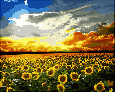 Flower Paint By Numbers Kits UK GX24822