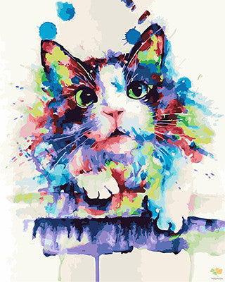 Colorful Paint By Numbers Kits UK GX24864