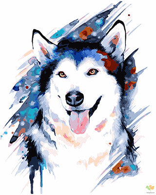 Colorful Paint By Numbers Kits UK GX24865