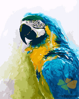 Birds Paint By Numbers Kits UK GX24868