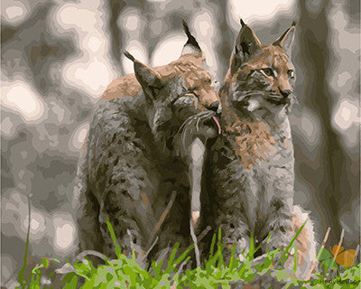 Animal Paint By Numbers Kits UK GX24875