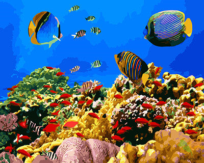 Animal Paint By Numbers Kits UK GX24900