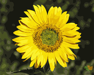 Flower Paint By Numbers Kits UK GX24977